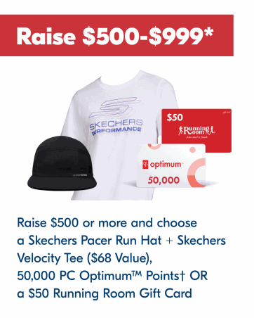 Raise $500-$999 online