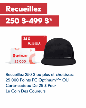 AMASSEZ ENTRE 250 $ ET 499 $ EN LIGNE